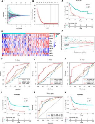 Comprehensive Analysis of a Ferroptosis Pattern and Associated Prognostic Signature in Acute Myeloid Leukemia